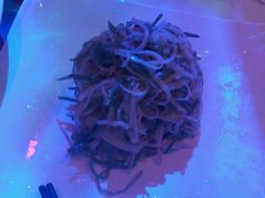 -胡桃里音乐酒馆(曲江店)