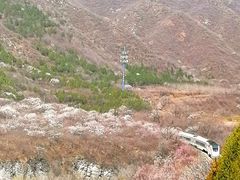 -居庸关长城