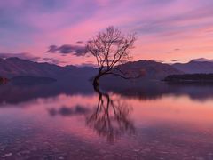 -苹果花园(昌里东路店)