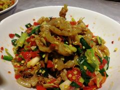 鸭掌筋-壹盏灯(惠农店)
