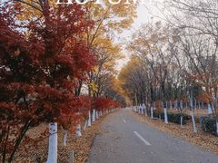 -凤凰沟景区