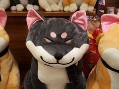 -大江户·温泉洗浴(浑南店)