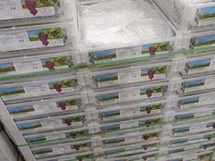 -西郊国际农产品交易中心