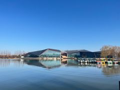 -上海长兴岛郊野公园