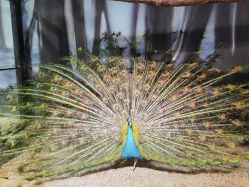 -酷嗒动物文化乐园(cutezoo西溪乐天城店)