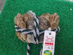 -麦德龙(郑东店)