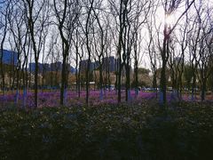 -白塘生态植物园