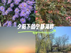 -燕郊植物园
