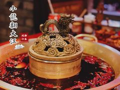 -小龙翻大江文化火锅(宽窄店)
