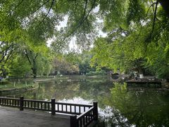 -望江楼公园