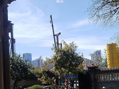 -卫鼎轩·曹公馆(鼓楼店)