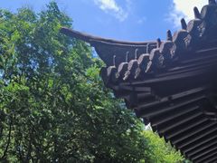 -上海佘山国家森林公园天马山园