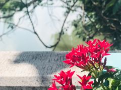 -苏州大学附属第二医院(三香院区)