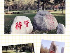 -唐城墙遗址公园