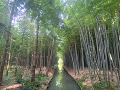 -同里国家湿地公园