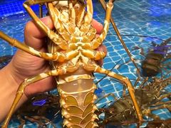 -極上萬膳·日料放题(来福士江景店)
