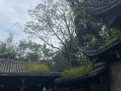 -凤栖山
