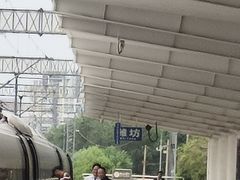 -潍坊站