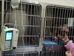 -瑞鹏宠物医院·爱宠堂(环西分院)