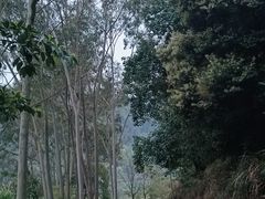 -马头山