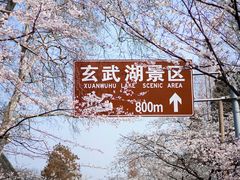 -鸡鸣寺
