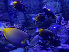 -成都浩海立方海洋公园