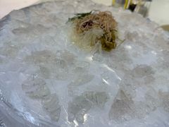-明本湛江鸡•海鲜小厨(陈家祠店)