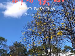 -广州市白云山风景名胜区