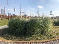 -上海山野camping·户外天幕烧烤·团建拓展营地