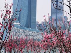 -天鹅湖体育公园