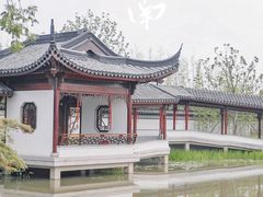 -上海滨江森林公园