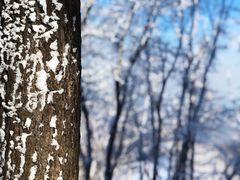 -中旅松花湖滑雪场