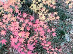 -上海长江河口科技馆