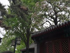 -北京鹫峰国家森林公园