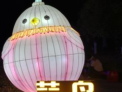 -武汉园博园(武汉自然博物馆)