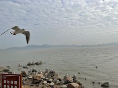 -深圳湾公园(南山区)