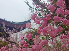 -堤角公园