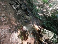 -滴水岩森林公园