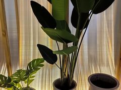 -谷悦SPA(王府井店)