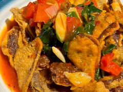 浇汁袈裟-柴窝堡22号辣子鸡·传承新疆菜