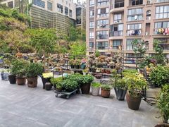 -兰婆婆餐厅淳安菜