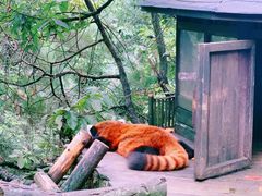 -云南野生动物园