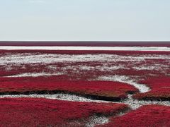 -红海滩国家风景廊道