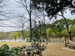 -上海方塔园