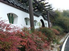 -黄陂区野村谷景区