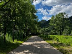 -玉渡山自然风景区