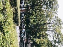 -麦田工坊(月湖店)