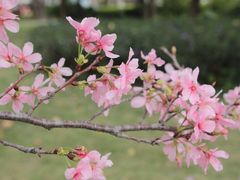 -文华公园(禅城区)