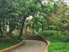 -元大都城垣遗址公园