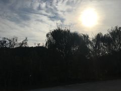 -狮麟驾校